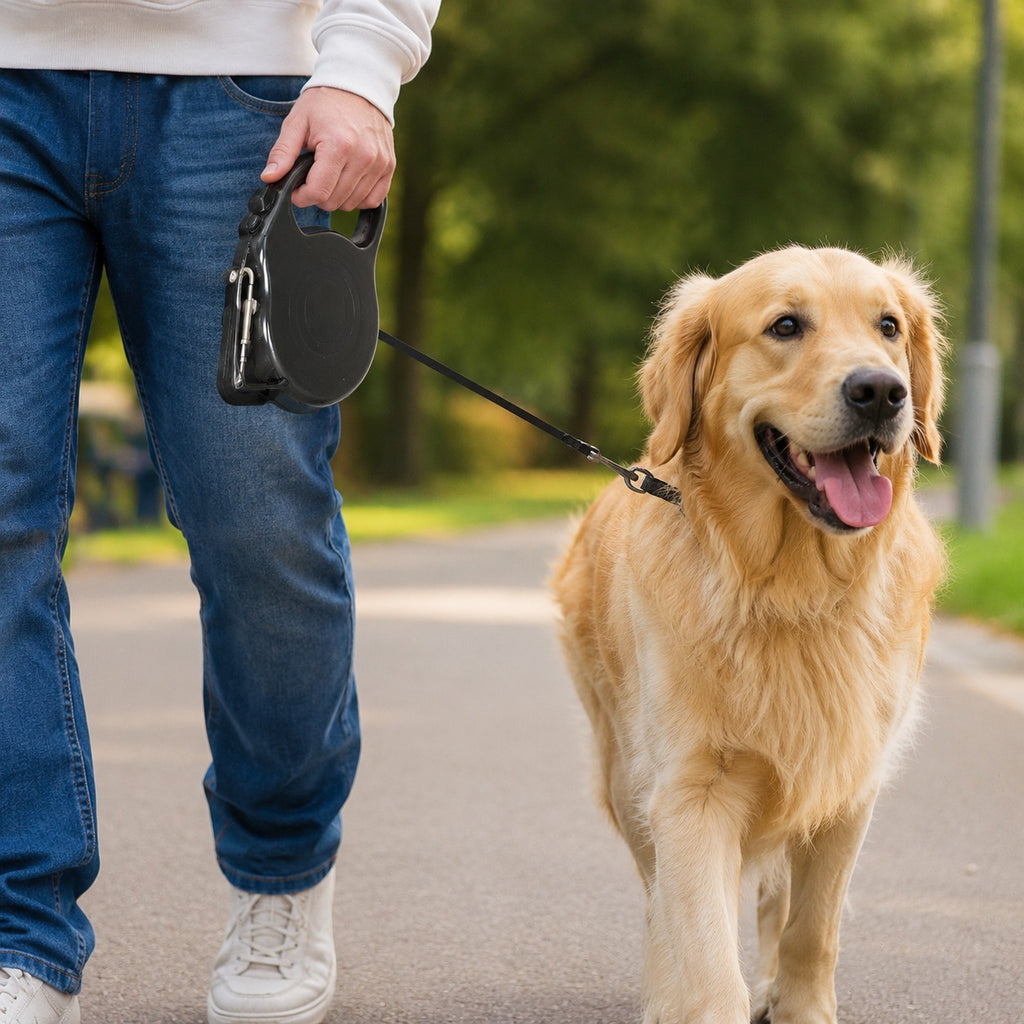 Kingdom Retractable Dog Lead – 5 Metres, Stop, Lock & Release Buttons